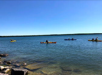 Kayak tour on the Mink River Esturary